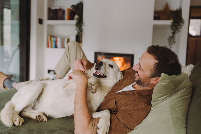Hundehalter tobt mit seinem Hund auf dem Sofa