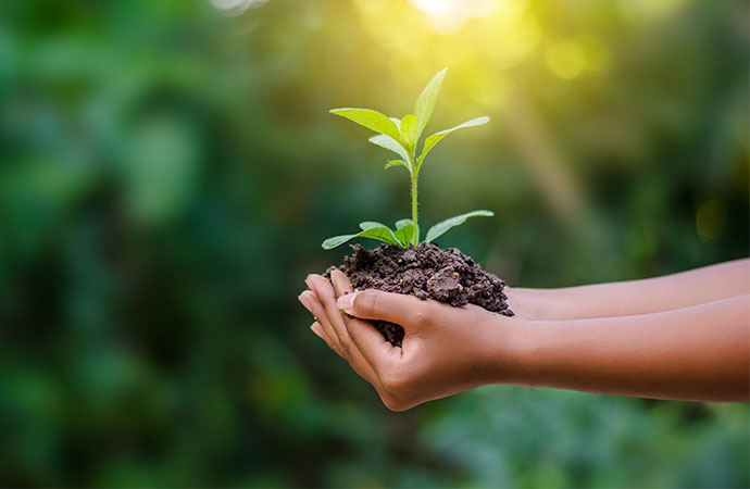 Verantwortung ist entscheidend für die Umwelt