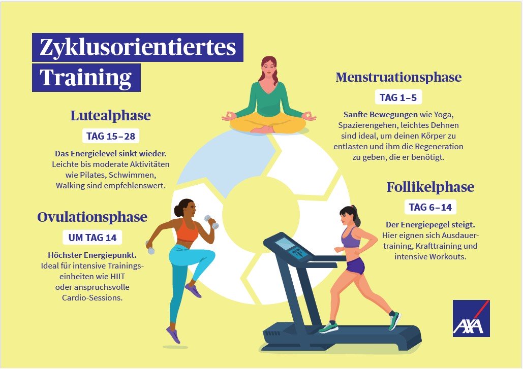 Es wird eine Grafik zum zyklusbasierten Training gezeigt