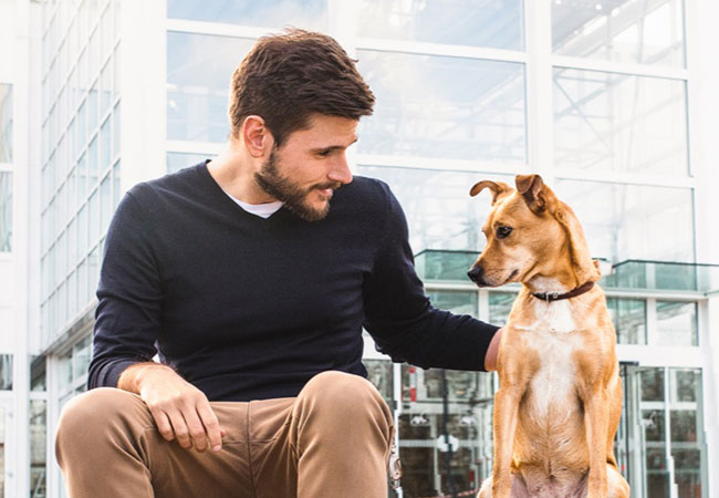 Hundebesitzer