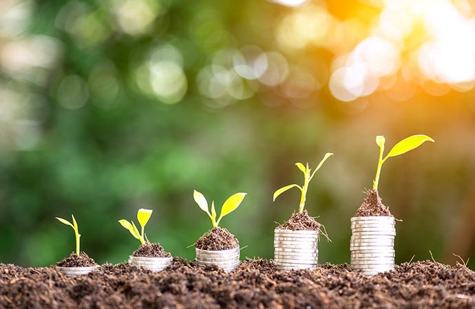 Nachhaltige Investmentoptionen 