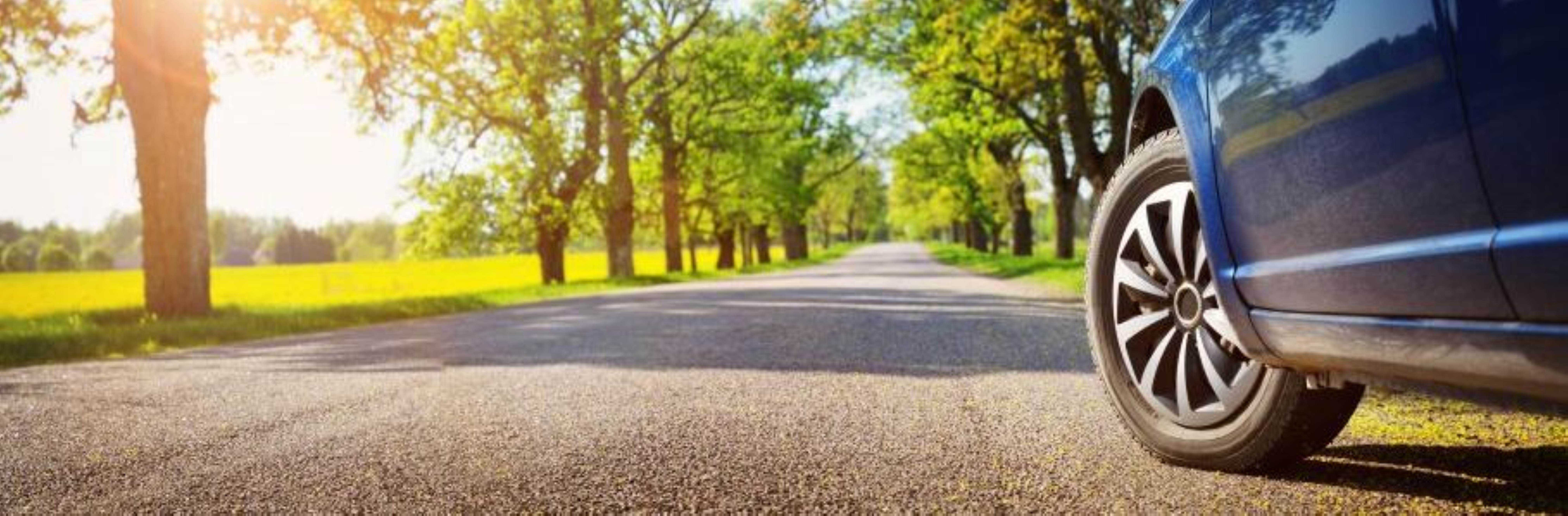 Versicherung für Ihren Suzuki abschließen Ein blaues Auto steht auf einer sonnigen, von Bäumen gesäumten Landstraße in grüner Landschaft.