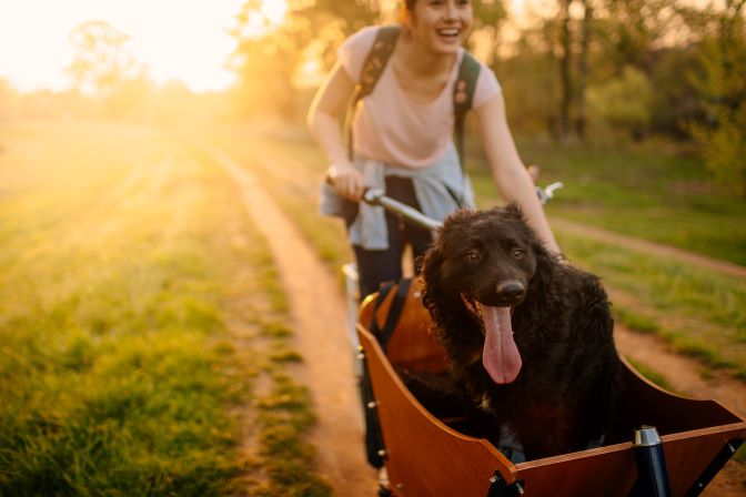 Eine junge Frau fährt mit ihrem schwarzen Hund im Lastenrad über einen Feldweg. Die Sonne scheint durch die Bäume im Hintergrund.