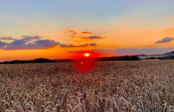AXA Hauptvertretung André Appenowitz aus Ratingen